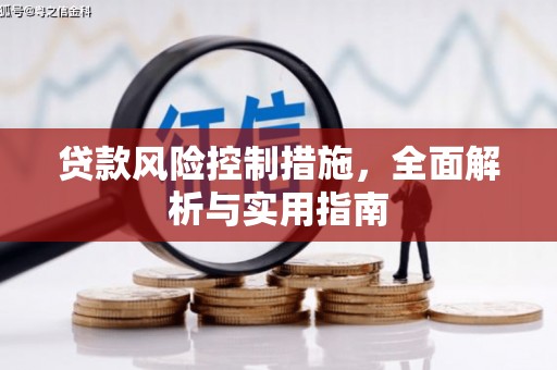 自流井贷款风险控制措施，全面解析与实用指南