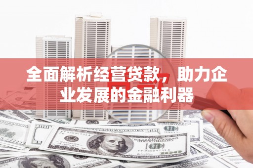 自流井全面解析经营贷款，助力企业发展的金融利器