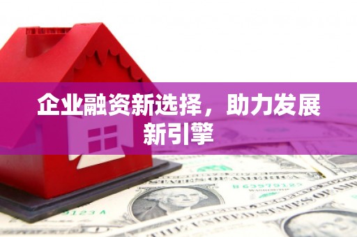 自流井企业融资新选择，助力发展新引擎