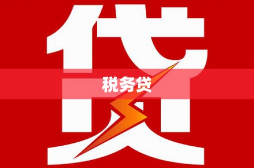 自流井税务贷