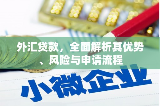 自流井外汇贷款，全面解析其优势、风险与申请流程