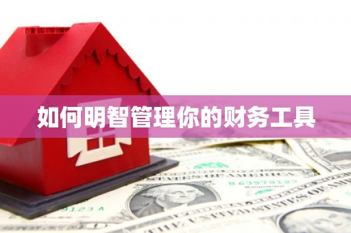 自流井如何明智管理你的财务工具