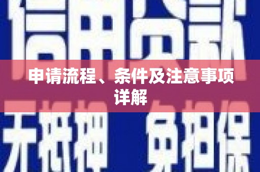 自流井申请流程、条件及注意事项详解