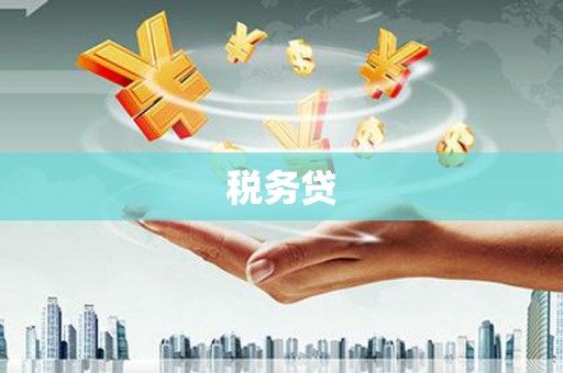自流井税务贷