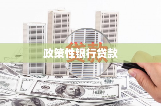 自流井政策性银行贷款