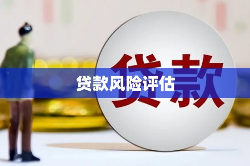 自流井贷款风险评估