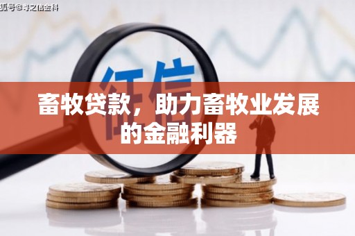 自流井畜牧贷款，助力畜牧业发展的金融利器