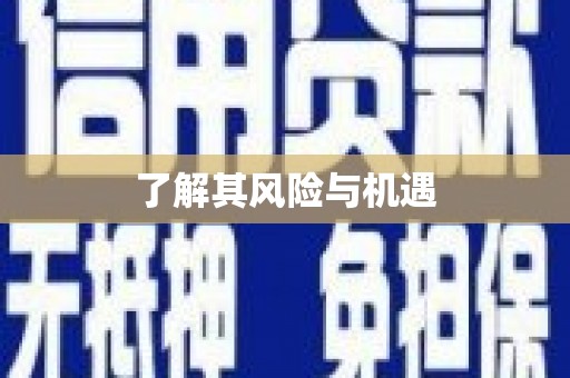 自流井了解其风险与机遇