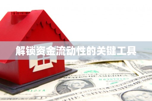 自流井解锁资金流动性的关键工具