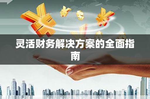 自流井灵活财务解决方案的全面指南