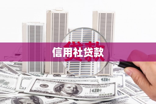 自流井信用社贷款