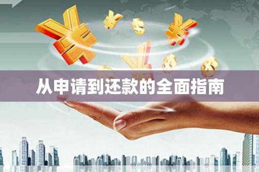 自流井从申请到还款的全面指南