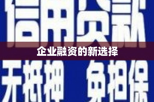 自流井企业融资的新选择