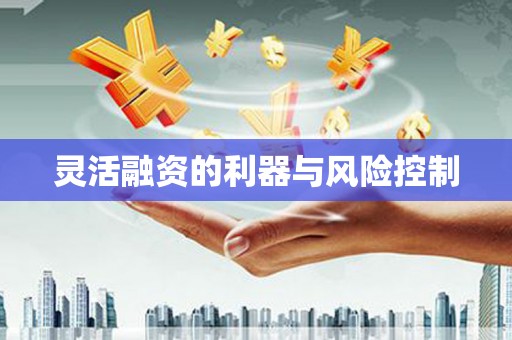 自流井灵活融资的利器与风险控制