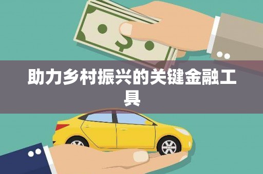 自流井助力乡村振兴的关键金融工具