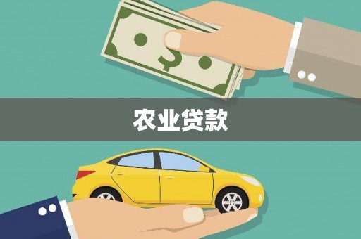 自流井农业贷款