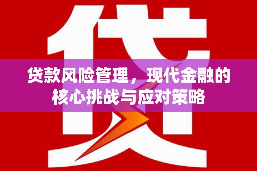 自流井贷款风险管理，现代金融的核心挑战与应对策略