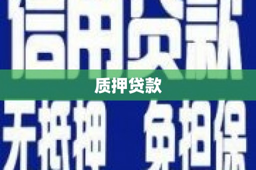 自流井质押贷款