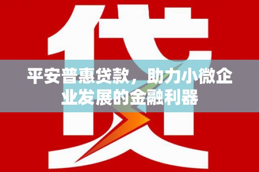 自流井平安普惠贷款，助力小微企业发展的金融利器