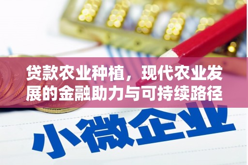 自流井贷款农业种植，现代农业发展的金融助力与可持续路径