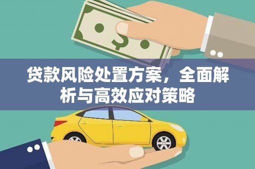自流井贷款风险处置方案，全面解析与高效应对策略