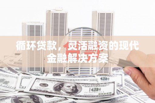 自流井循环贷款，灵活融资的现代金融解决方案