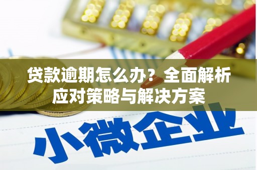 自流井贷款逾期怎么办？全面解析应对策略与解决方案