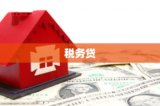自流井税务贷