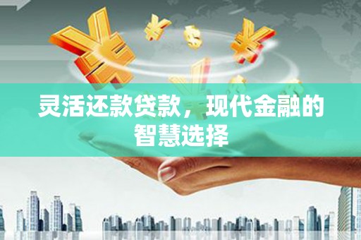 自流井灵活还款贷款，现代金融的智慧选择