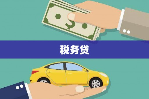 自流井税务贷