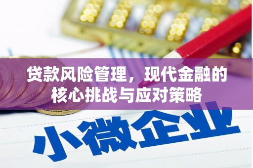 自流井贷款风险管理，现代金融的核心挑战与应对策略
