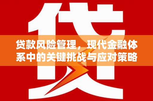 自流井贷款风险管理，现代金融体系中的关键挑战与应对策略