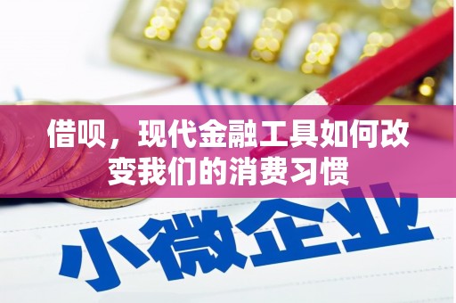 自流井借呗，现代金融工具如何改变我们的消费习惯