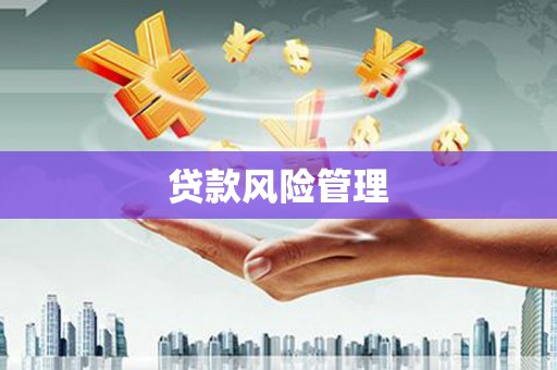 自流井贷款风险管理