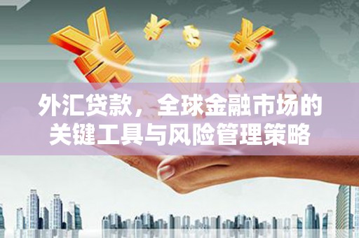 自流井外汇贷款，全球金融市场的关键工具与风险管理策略