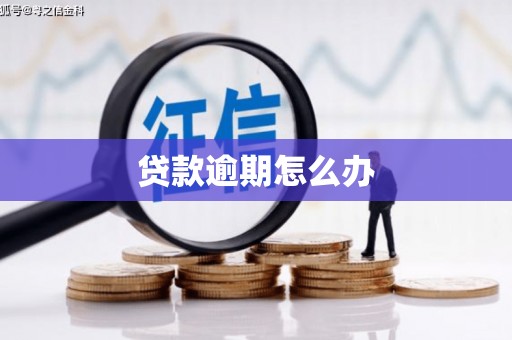 自流井贷款逾期怎么办