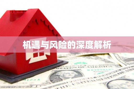 自流井机遇与风险的深度解析