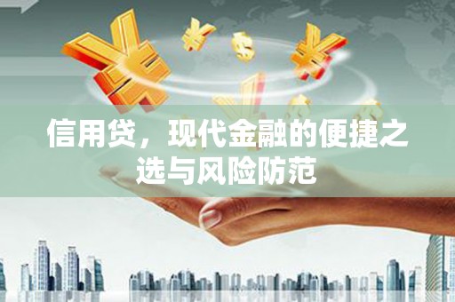 自流井信用贷，现代金融的便捷之选与风险防范