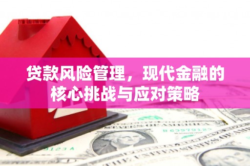 自流井贷款风险管理，现代金融的核心挑战与应对策略