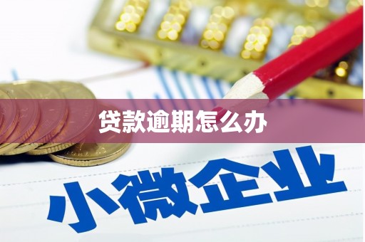 自流井贷款逾期怎么办