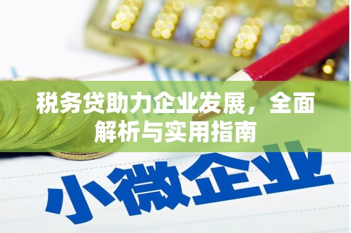 自流井税务贷助力企业发展，全面解析与实用指南