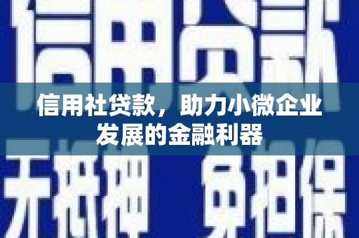 自流井信用社贷款，助力小微企业发展的金融利器