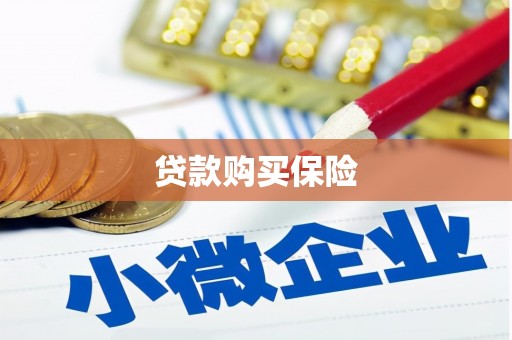 自流井贷款购买保险