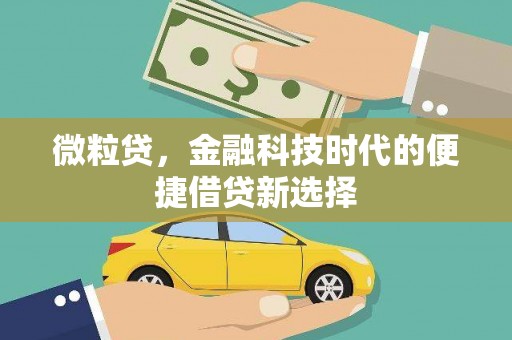 自流井微粒贷，金融科技时代的便捷借贷新选择