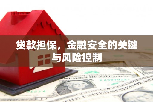 自流井贷款担保，金融安全的关键与风险控制