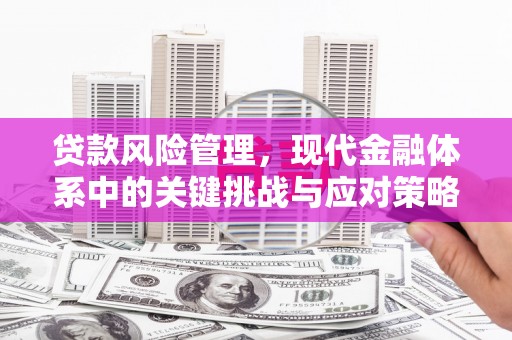 自流井贷款风险管理，现代金融体系中的关键挑战与应对策略