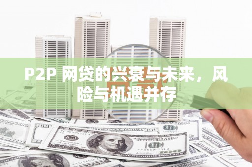 自流井P2P 网贷的兴衰与未来，风险与机遇并存