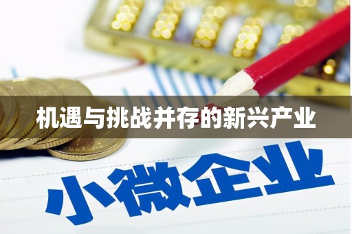 自流井机遇与挑战并存的新兴产业