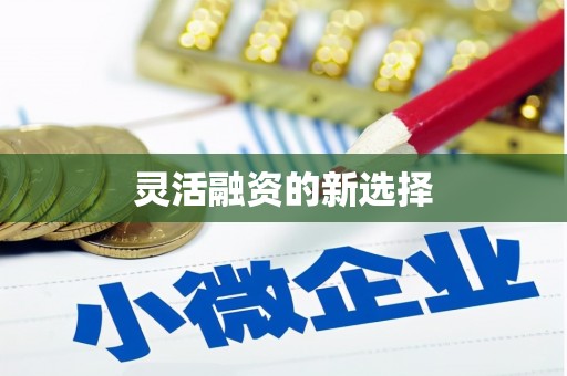 自流井灵活融资的新选择