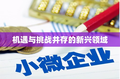 自流井机遇与挑战并存的新兴领域